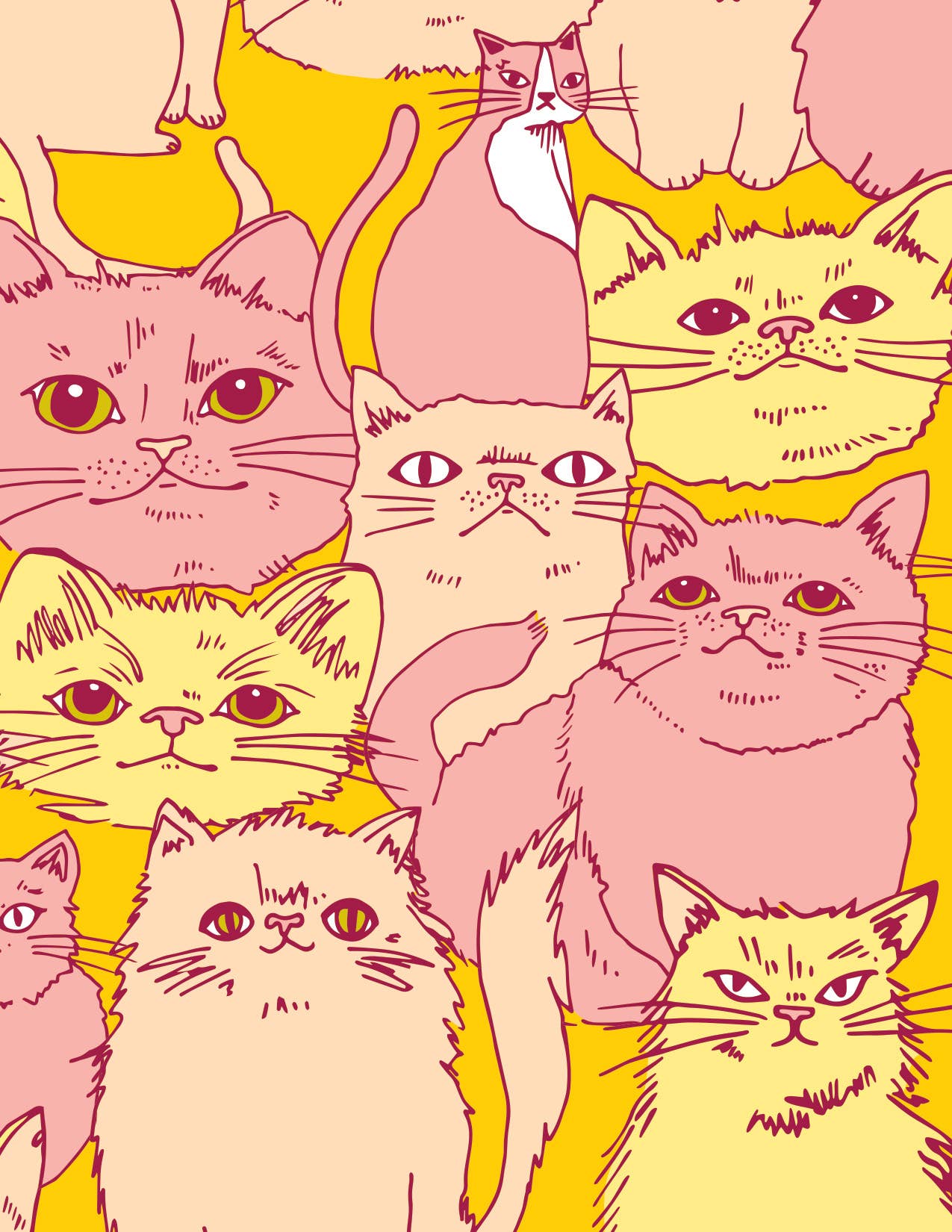 Cats Gift Bag