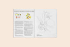 Watercolor Workbook 2: Flowers, Feathers, & Animal Friends