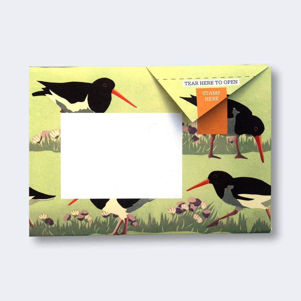 Hebridean Pigeon letter pack