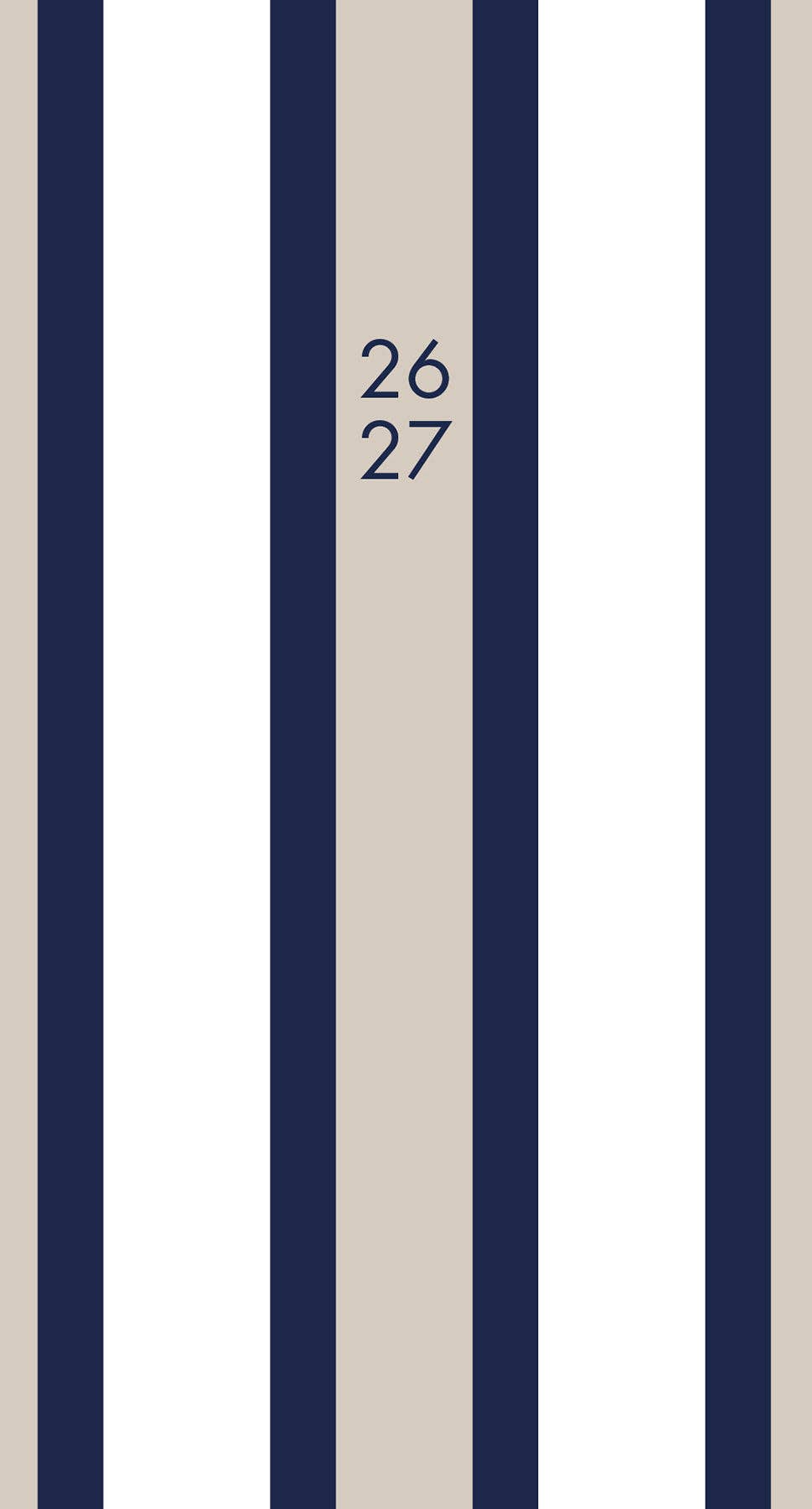 Pinstripe 2-Year 26-27 Monthly Pocket Planner