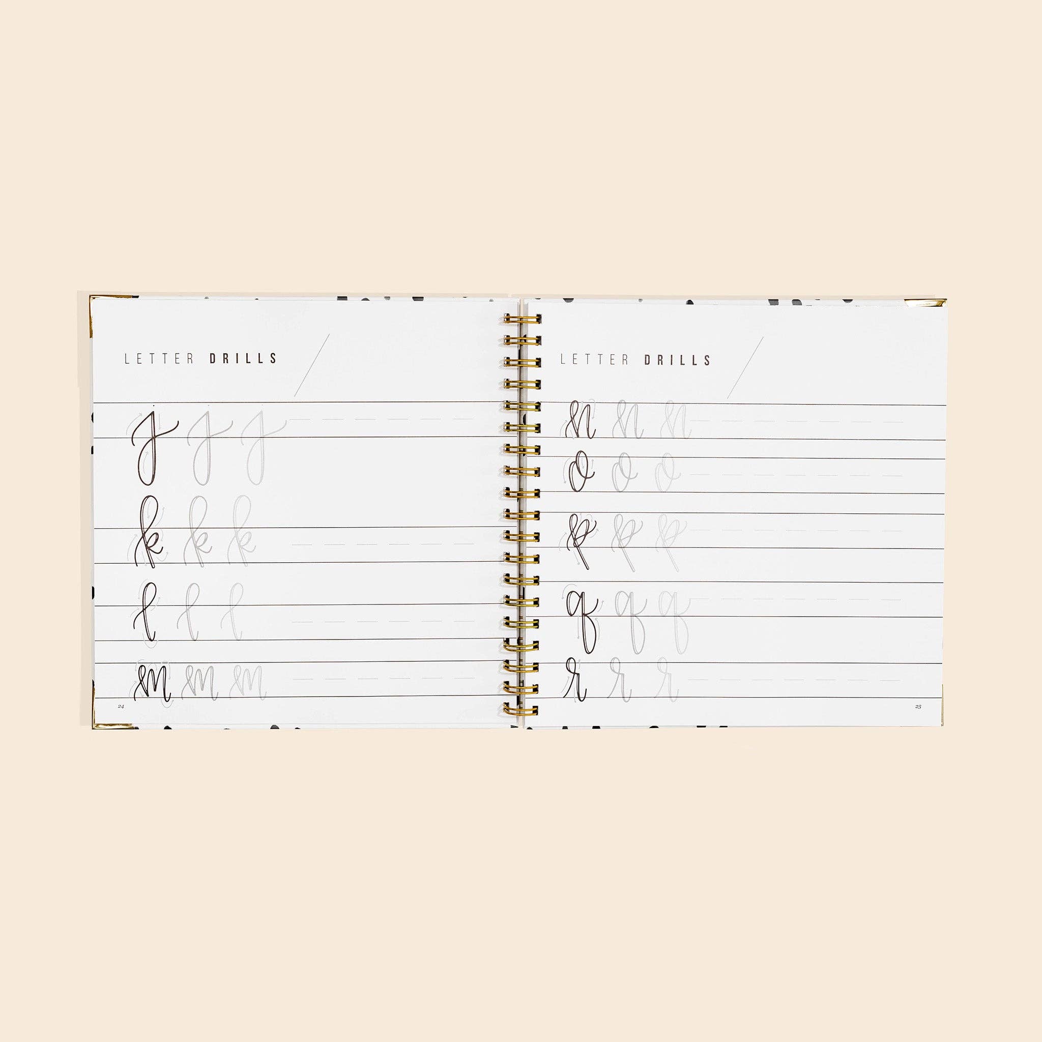 Hand Lettering 101:  A Step-by-Step Calligraphy Workbook