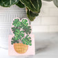 Potted Plants Pop-Up Greeting Card Box Set