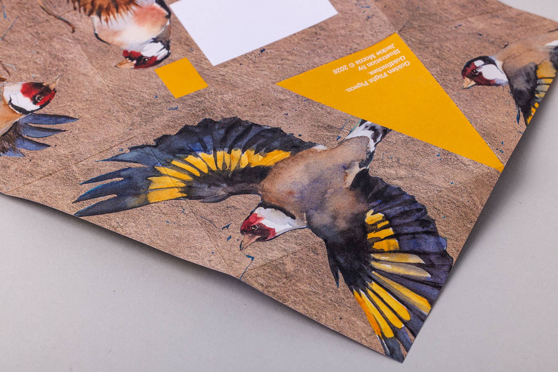 Golden Flight Pigeon Pack