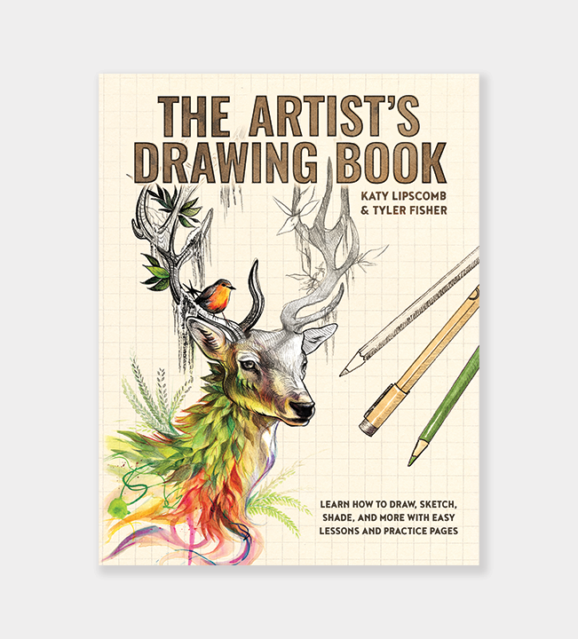The Artist's Drawing Book (Learn How to Draw)