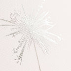 Lily of the Valley Sympathy Greeting Card