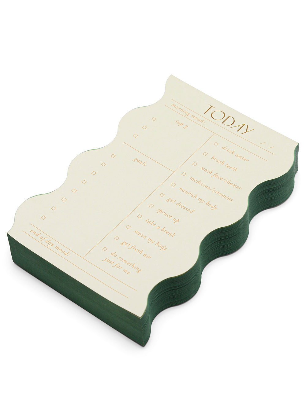 Daily Self Care Notepad- Sage