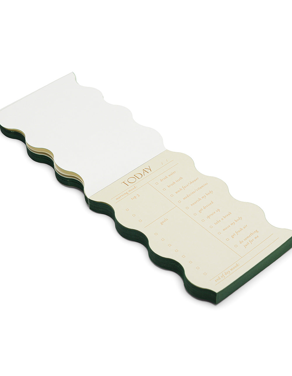 Daily Self Care Notepad- Sage