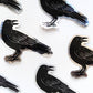 Corvid Sticker