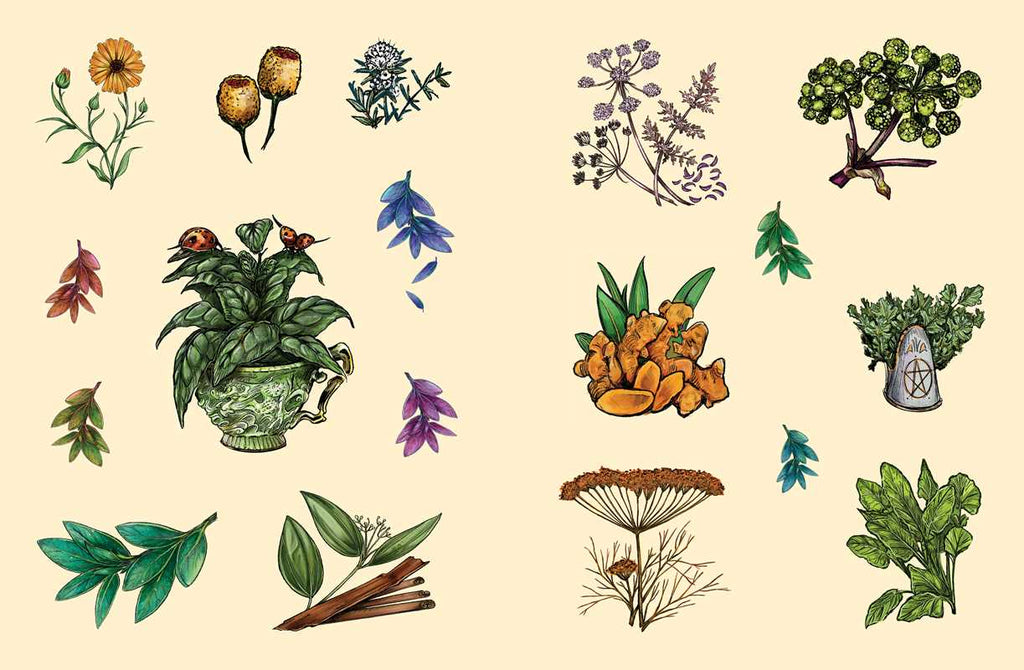 Green Witch's Sticker Book