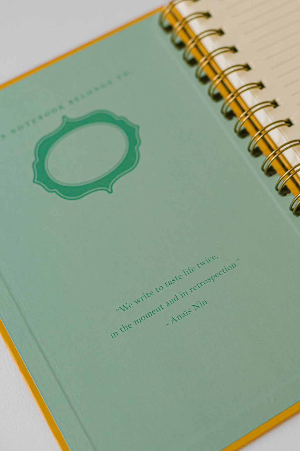 Cat Library Spiral Notebook