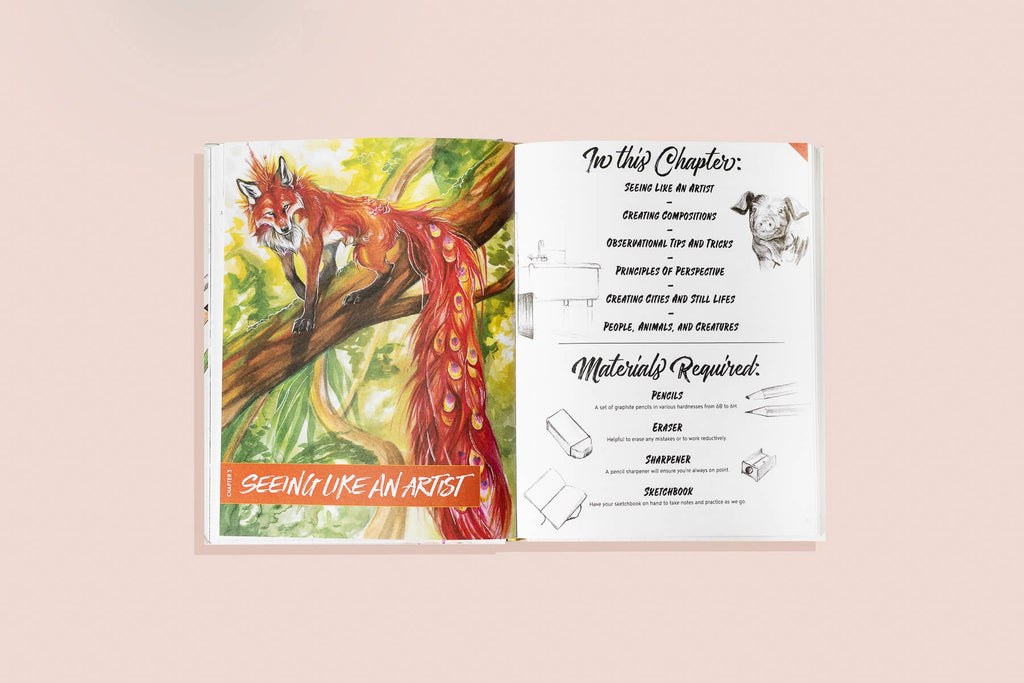The Artist's Drawing Book (Learn How to Draw)