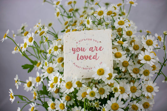 You Are Loved Petite Wildflower Seed Handmade Paper Letterpress