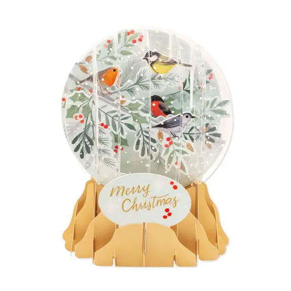 Winter Birds Pop-Up Snow Globe Greetings Card