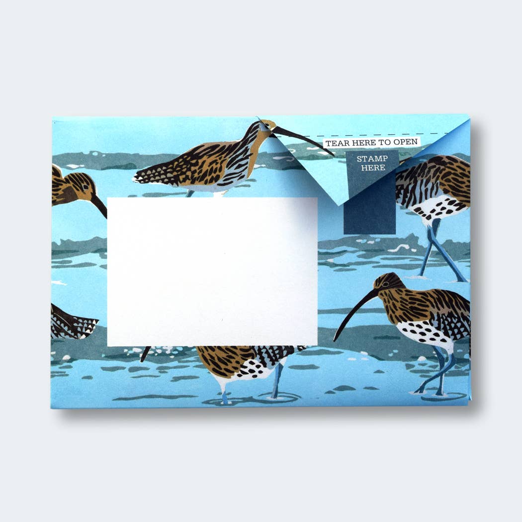 Hebridean Pigeon letter pack