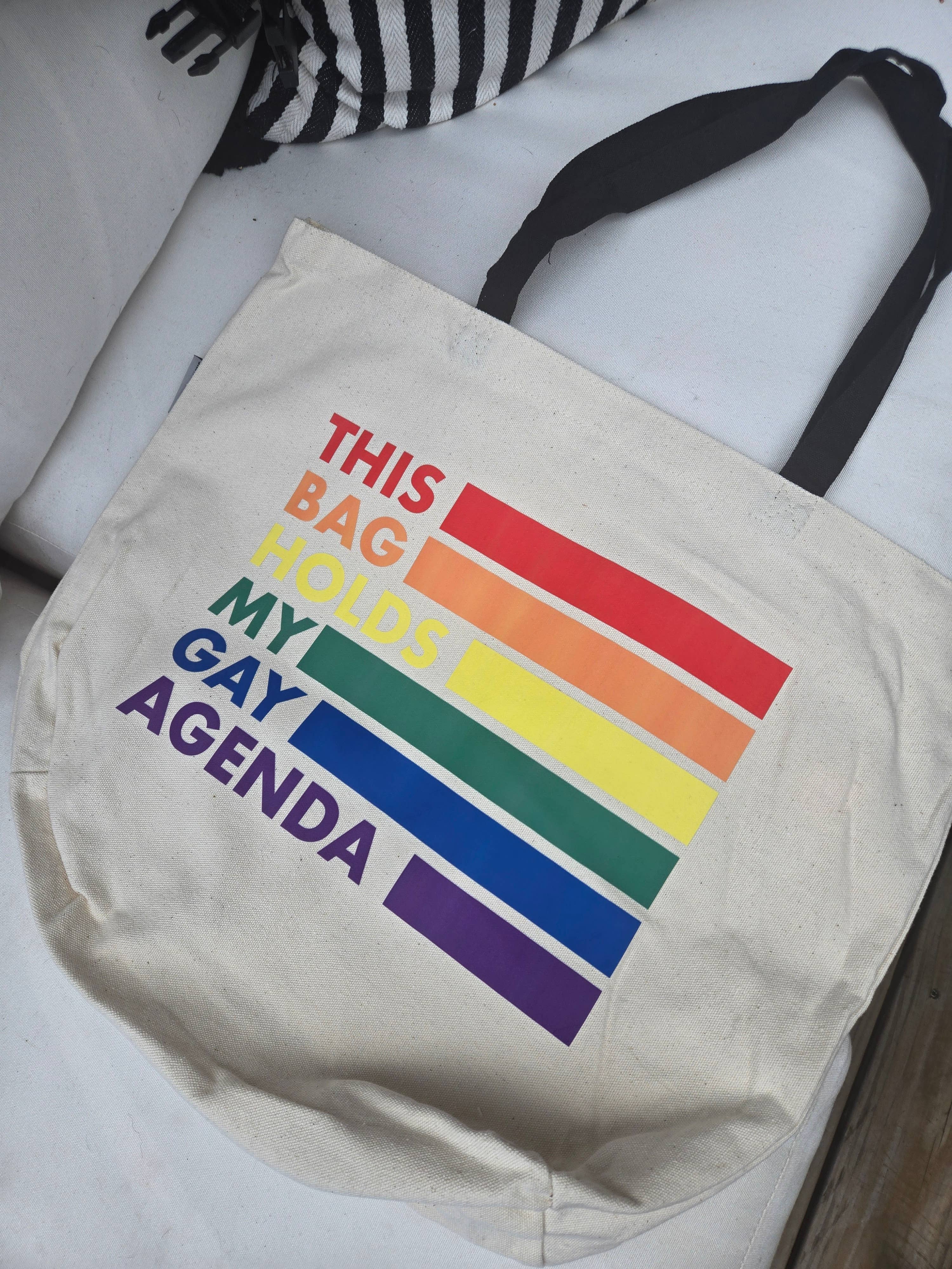 Tote: This Bag Holds My Gay Agenda *B-Grade*