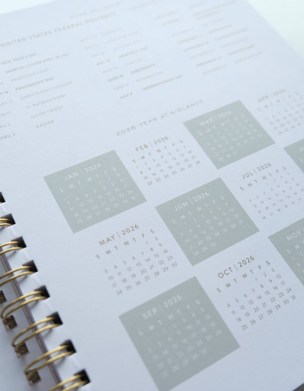 Primary Blooms 2026 Softcover Planner