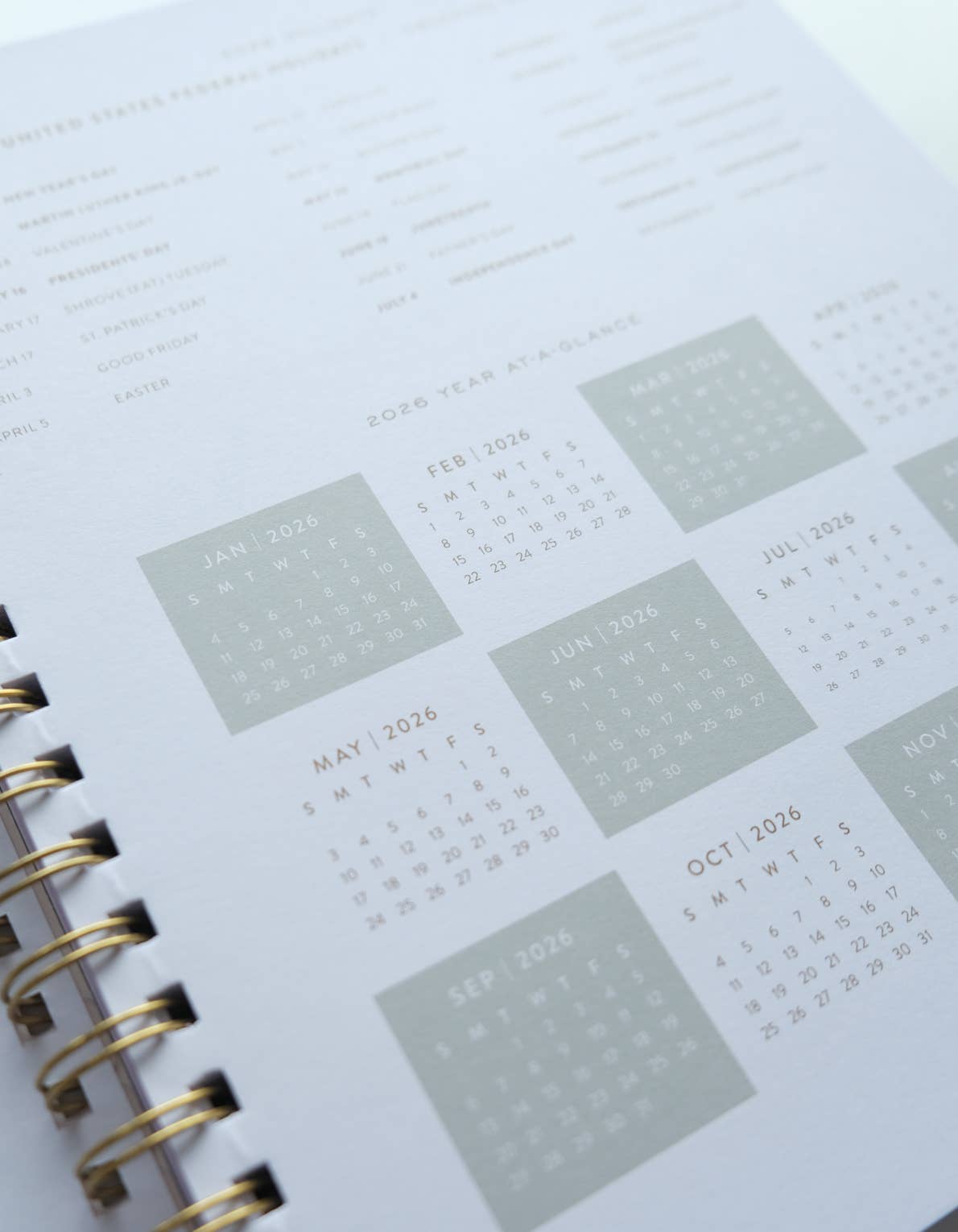 Primary Blooms 2026 Softcover Planner