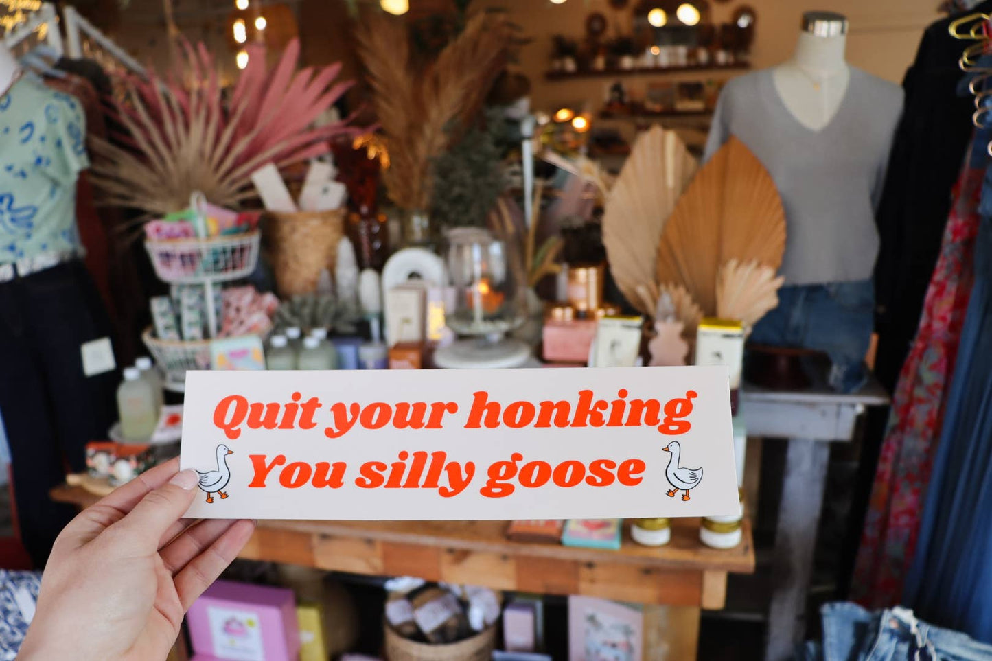 Quit Your Honking You Silly Goose Bumper Sticker