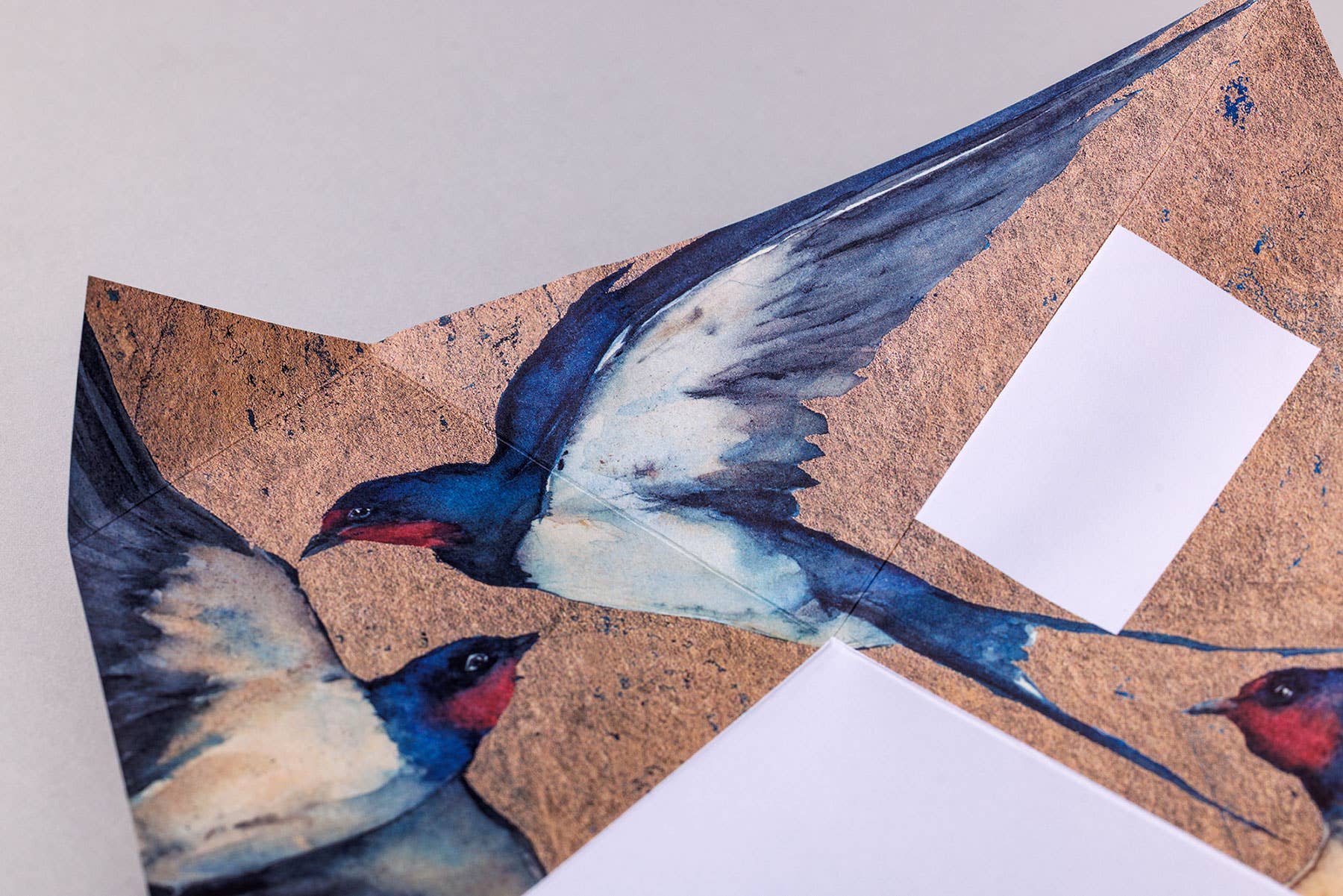 Golden Flight Pigeon Pack
