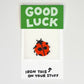 Good Luck Ladybug L'il Something Iron-On Card