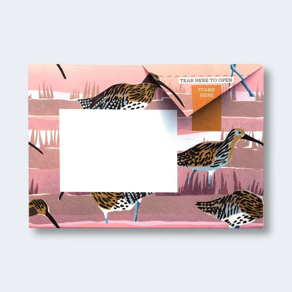 Hebridean Pigeon letter pack