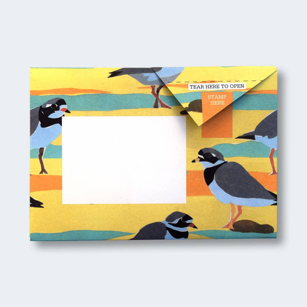 Hebridean Pigeon letter pack