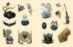 Green Witch's Sticker Book