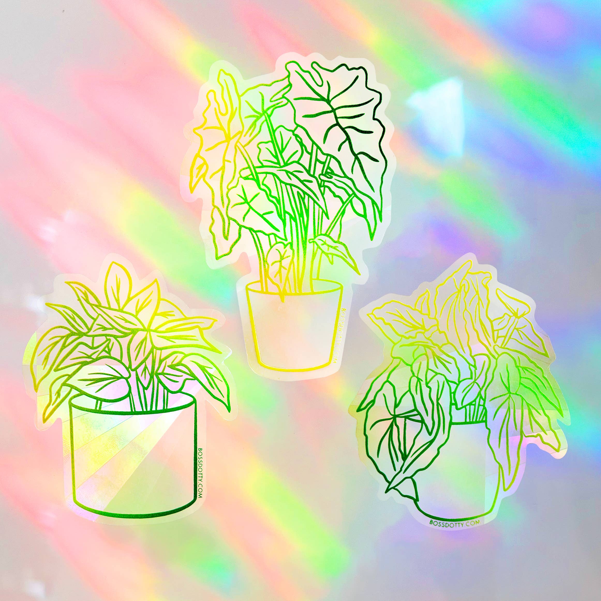House Plants Rainbow Suncatchers Set of 3