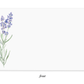 Lavender Little Notes®