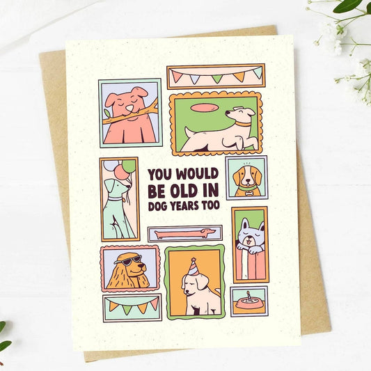 Old in Dog Years Birthday Card