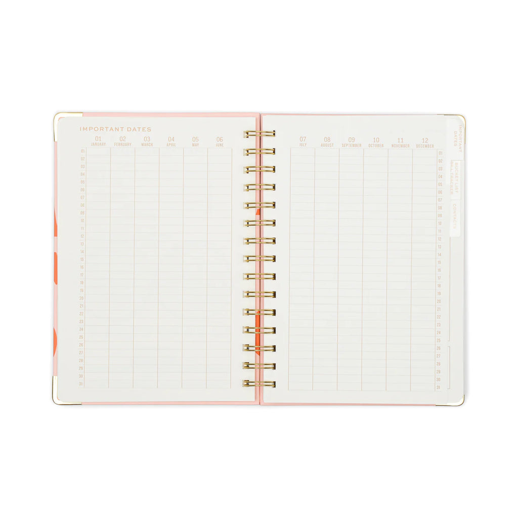 13 Mo Perpetual Planner- Plans