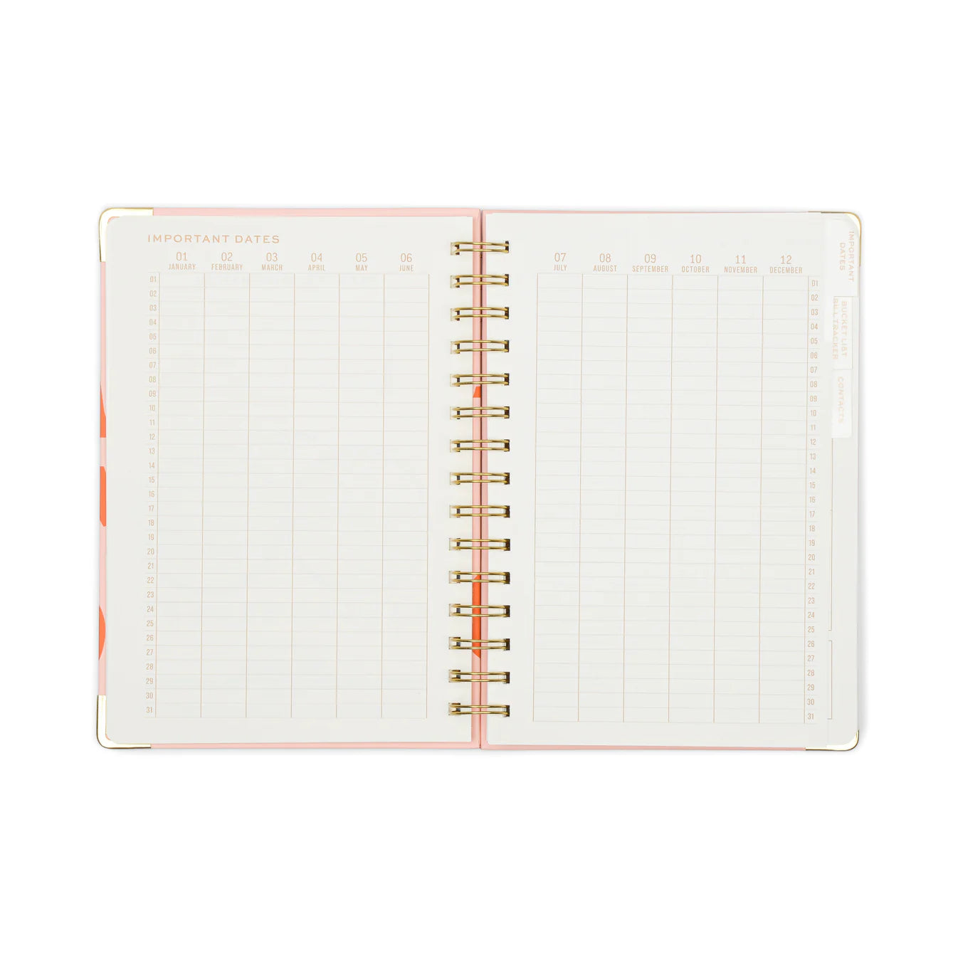 13 Mo Perpetual Planner- Plans