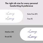 LAMY LX Fountain Pen - Premium Anodized Aluminum in Palladium with Fine Nib