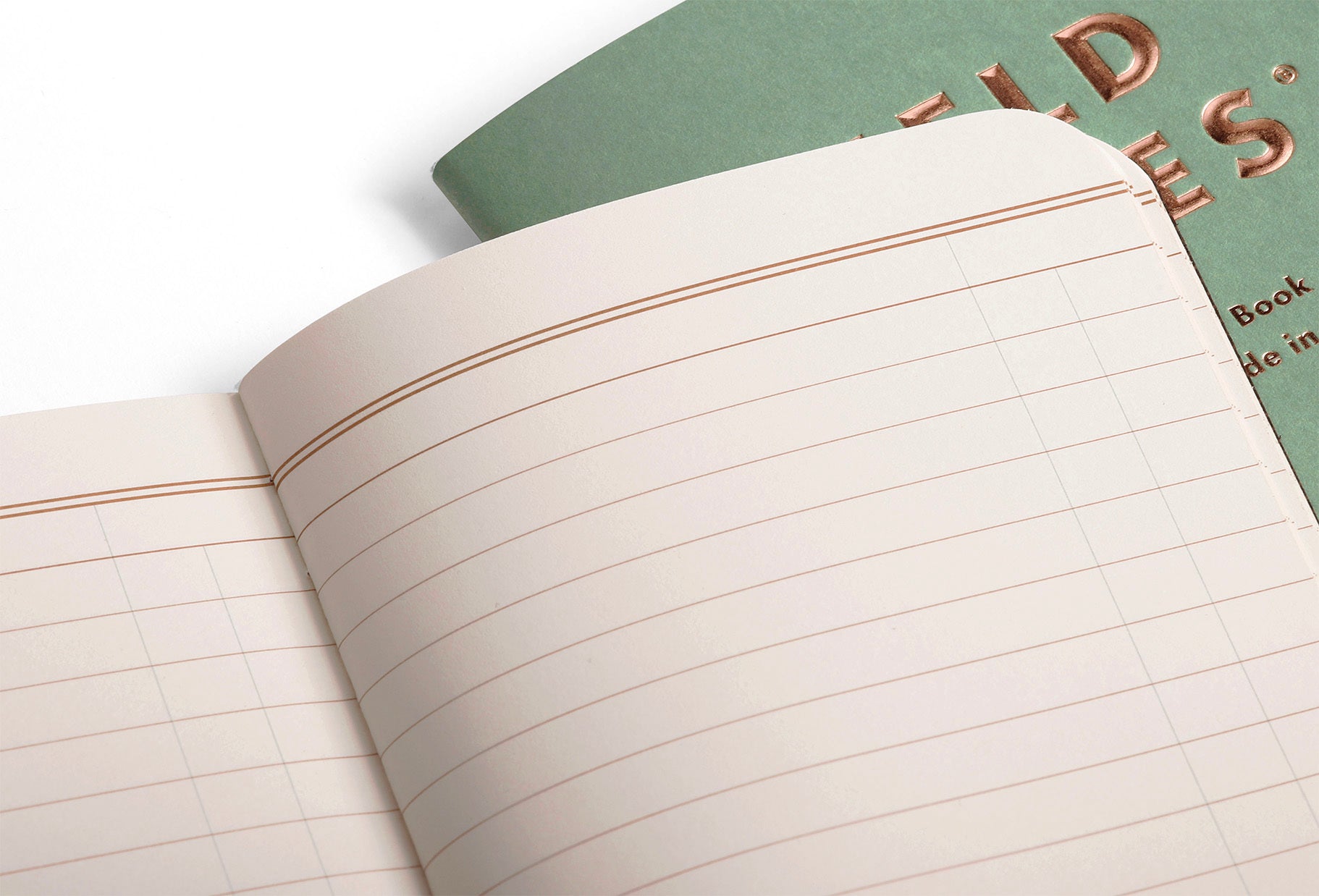 Field Notes- Lucky