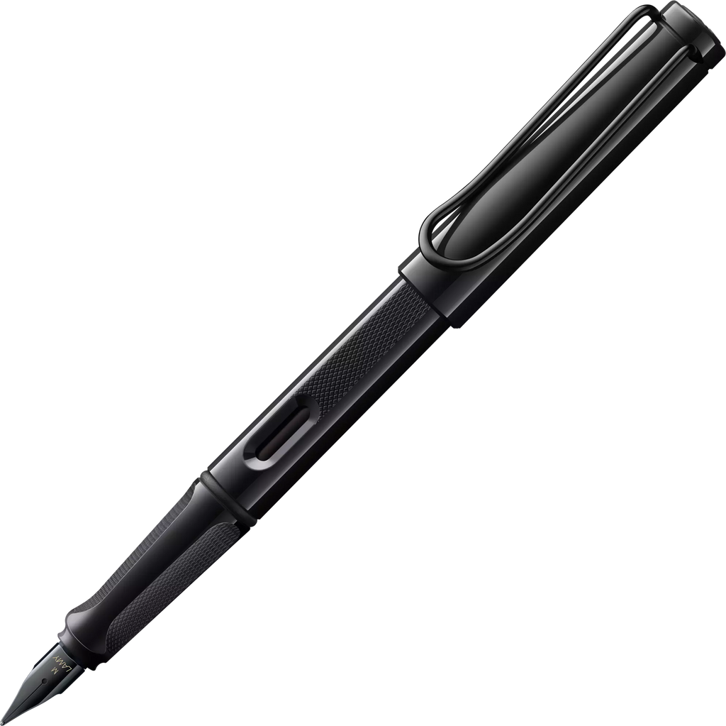 LAMY Safari Fountain Pen in Meteorite with Fine Nib