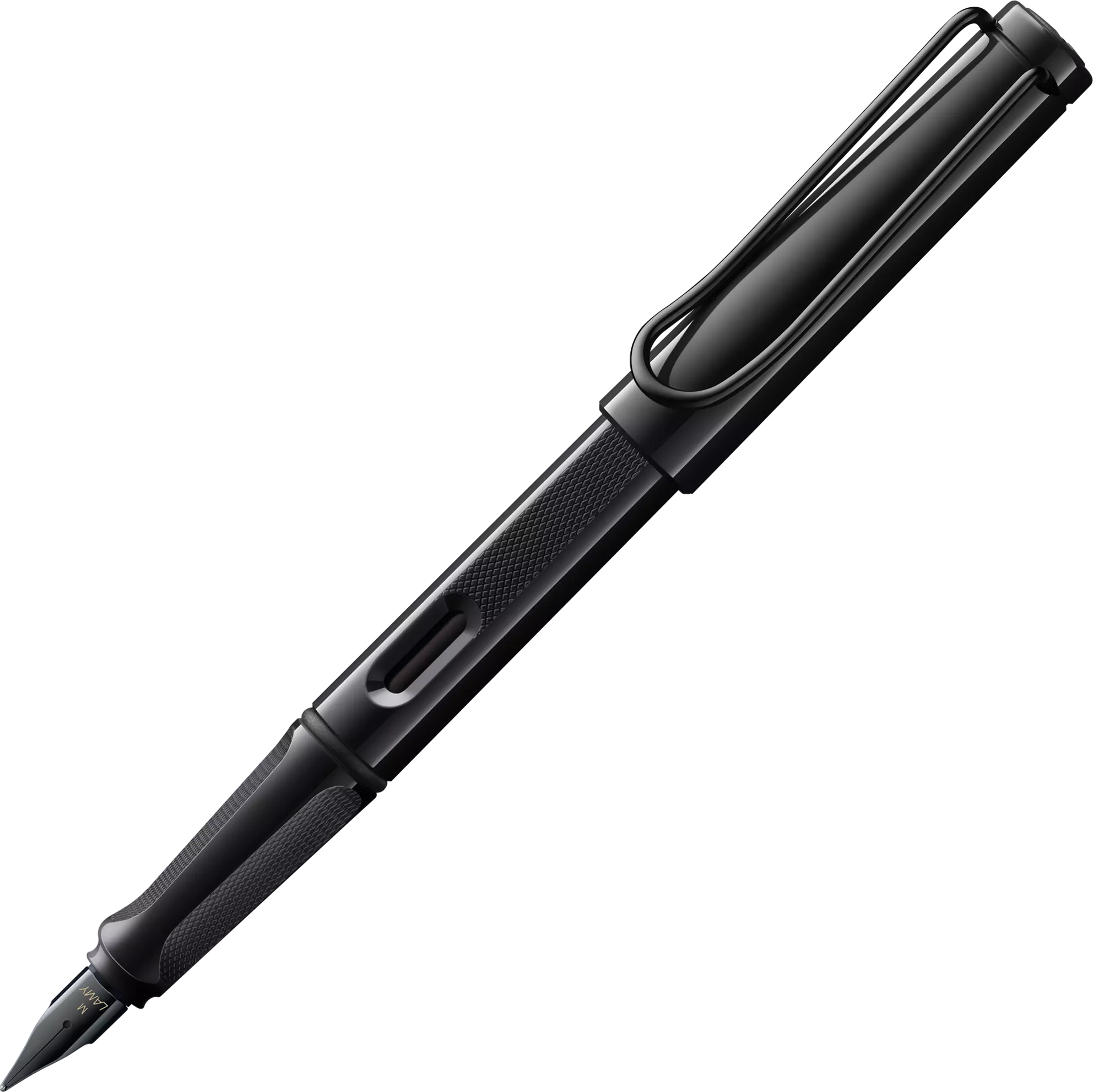 LAMY Safari Fountain Pen in Meteorite with Fine Nib