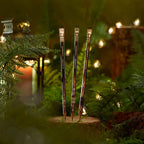 Blackwing x The Lord of the Rings Gift Set