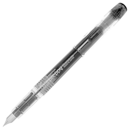 Preppy Platinum Fountain Pen Fine