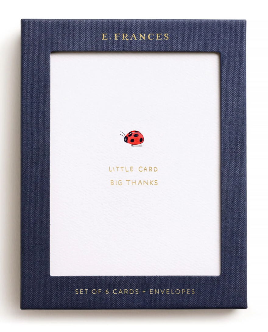 Little Card Big Thanks Cards (Boxed Set of 6)