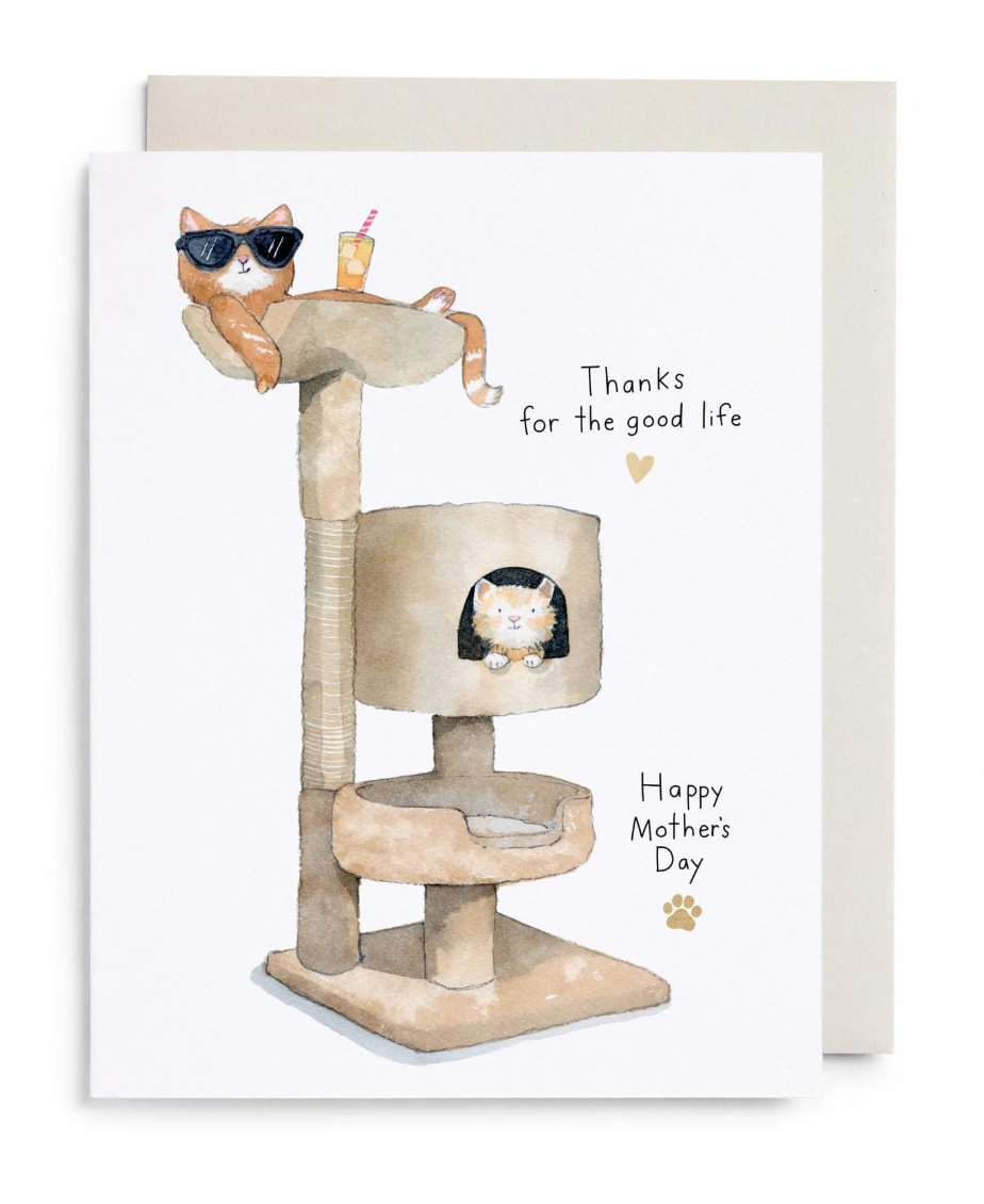 Cat Condo Mother's Day Card
