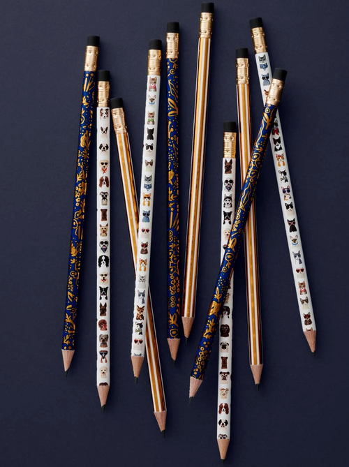 Cats and Dogs Pencil Set