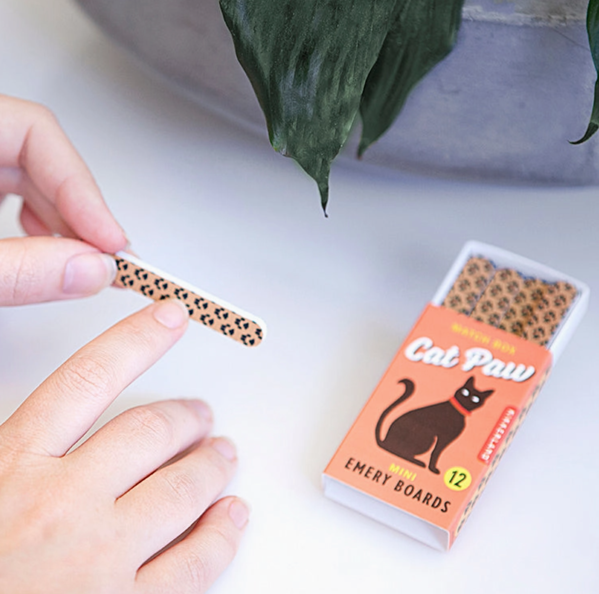 Cat Paw Mini Emery Boards