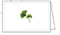 Classica Italiana Ginko Note Cards