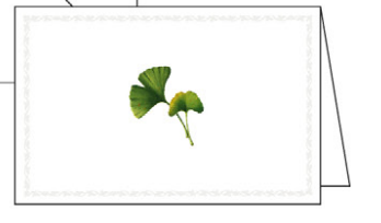 Classica Italiana Ginko Note Cards