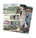 Angela Harding Mini Wildlife Notebooks (Set of 3)
