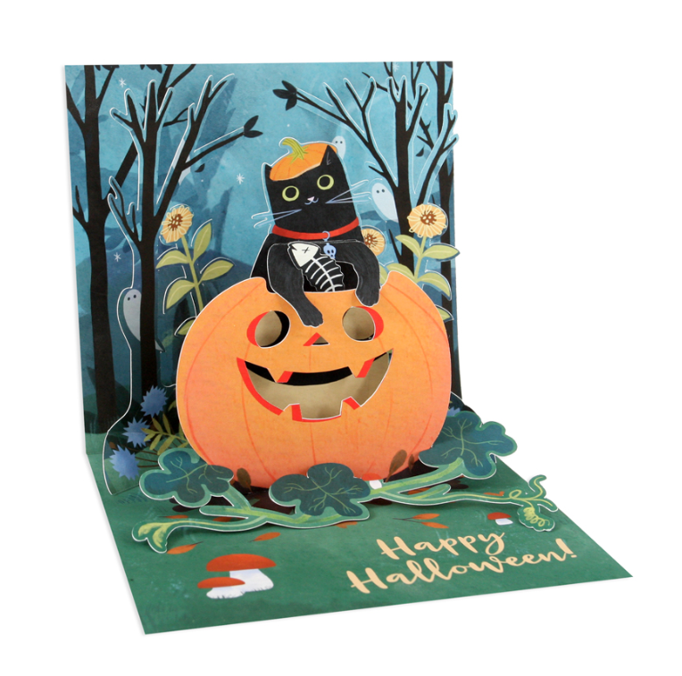 Cat in a Pumpkin