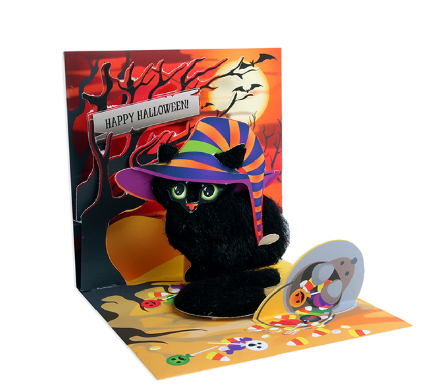 Spooky Cat