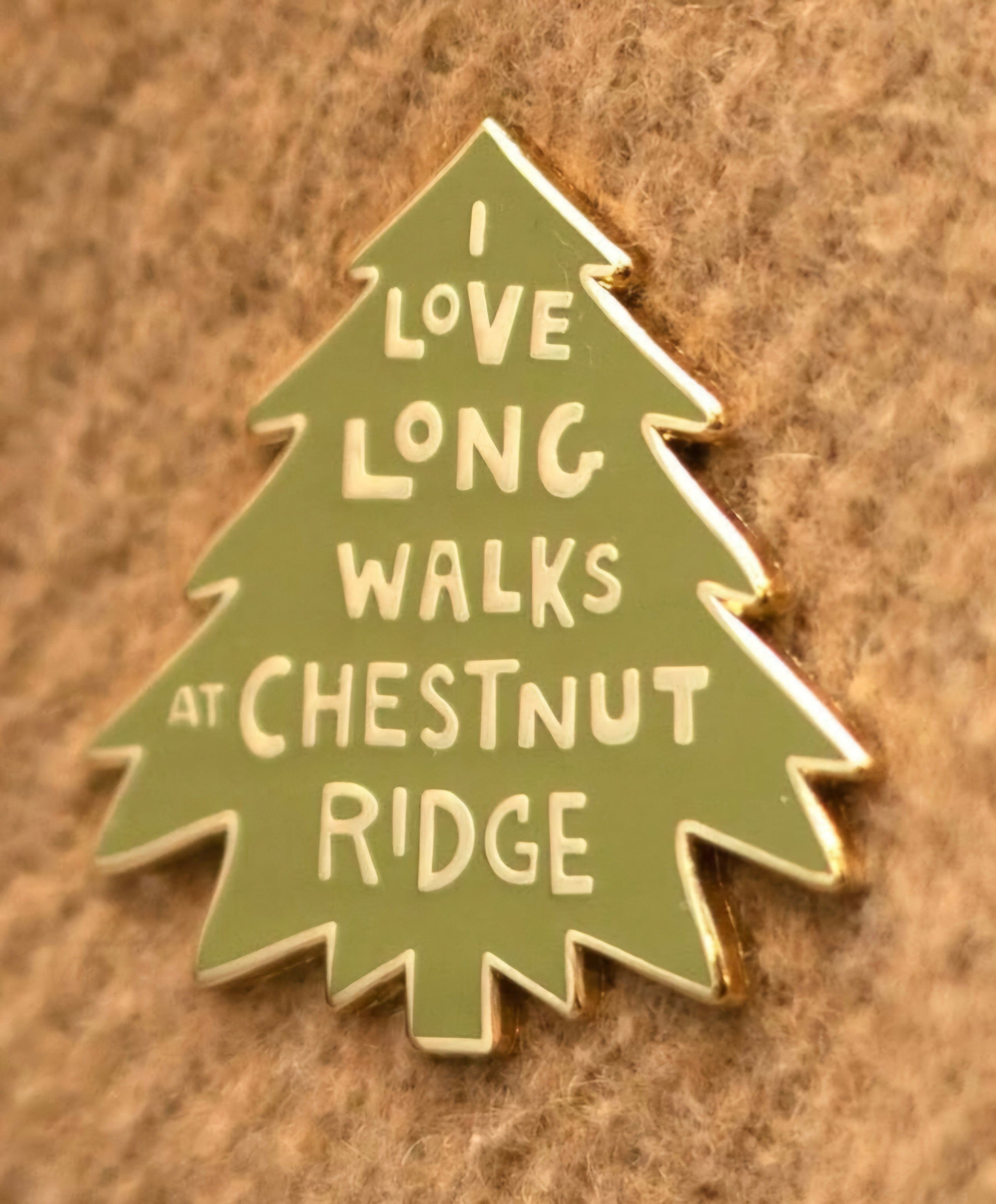 I Love Long Walks at Chestnut Ridge Enamel Pin