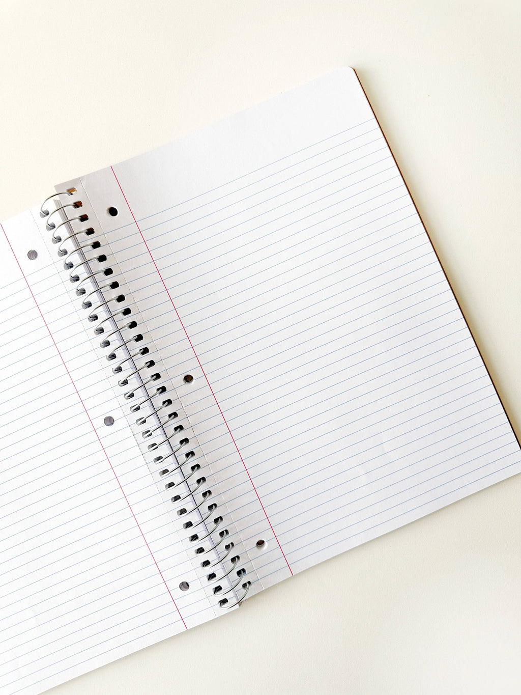 She's All That Stripe Spiral Notebook