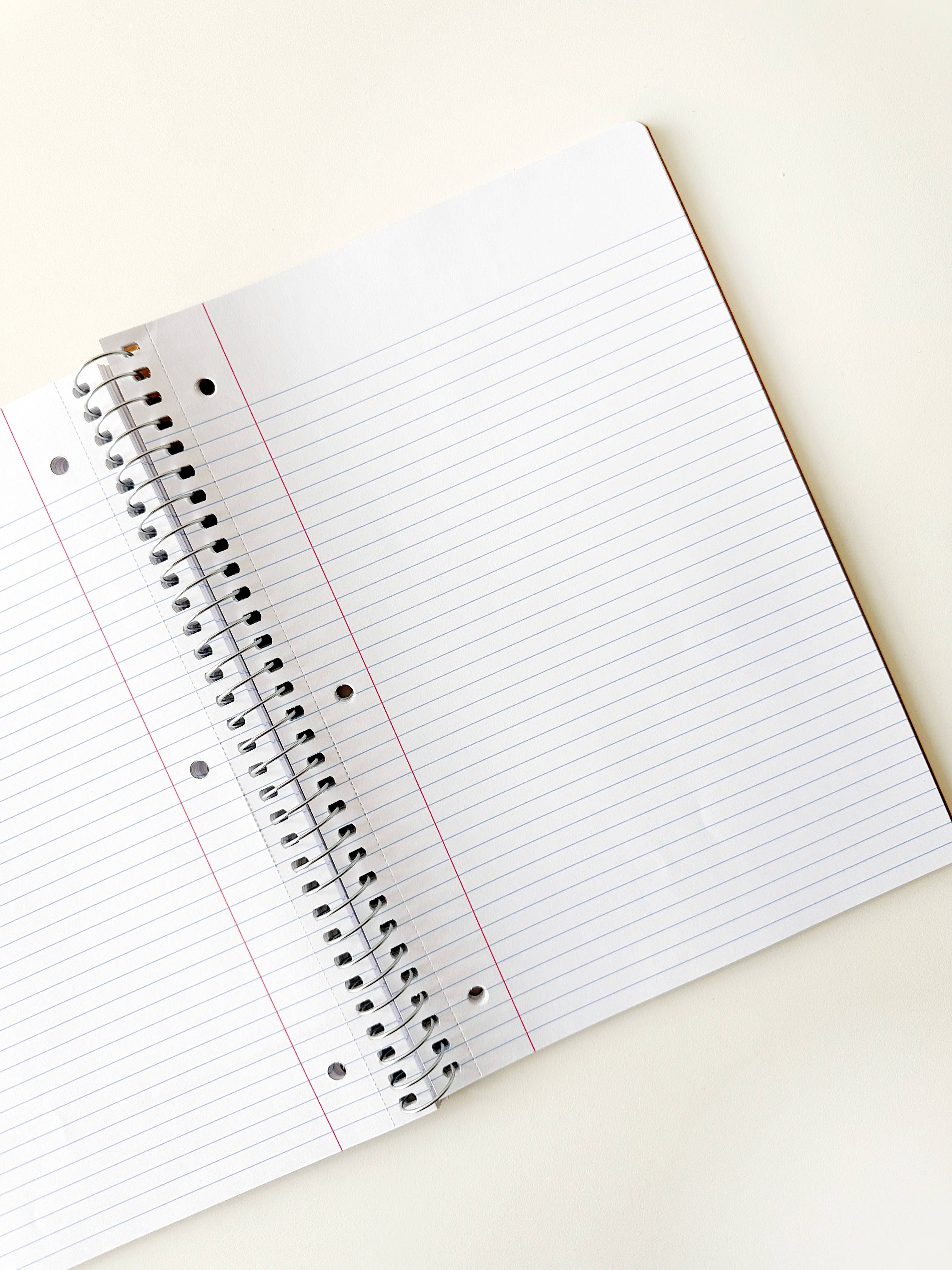 She's All That Stripe Spiral Notebook